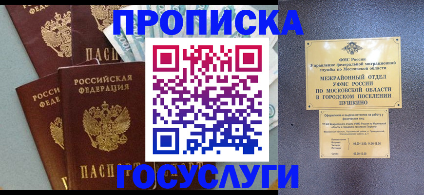 прописка гарантия в Емве